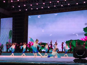 《祖國永遠是春天》——小江精品藝術(shù)學(xué)校2025年專場春節(jié)文藝演出暨廣播電視節(jié)目制作紀實