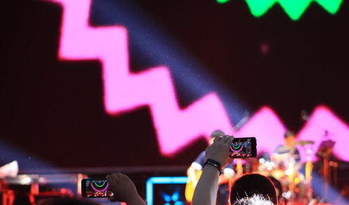 中演協(xié)經(jīng)紀人委員會攜手廣播電視節(jié)目制作經(jīng)營，助力沈陽法庫音樂節(jié)圓滿落幕